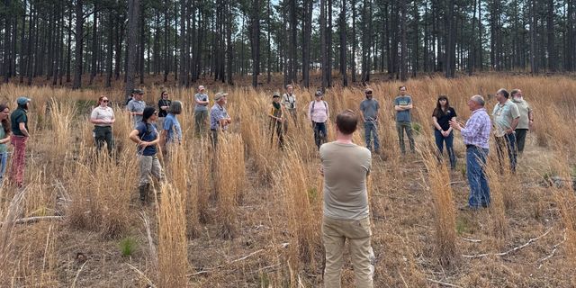 Nicks Creek Longleaf Reserve Hosts North Carolina Sandhills